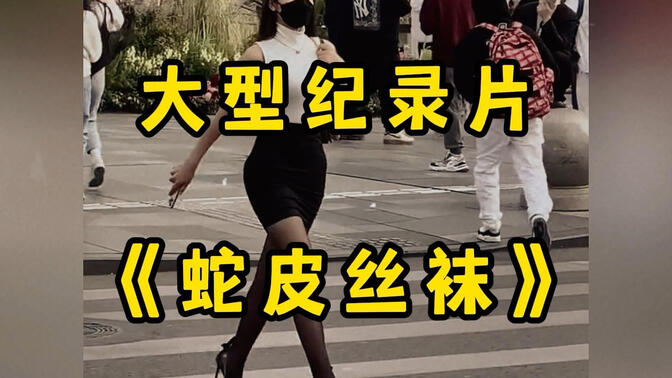 大型纪录片《蛇皮丝袜诱惑老公》高清播放