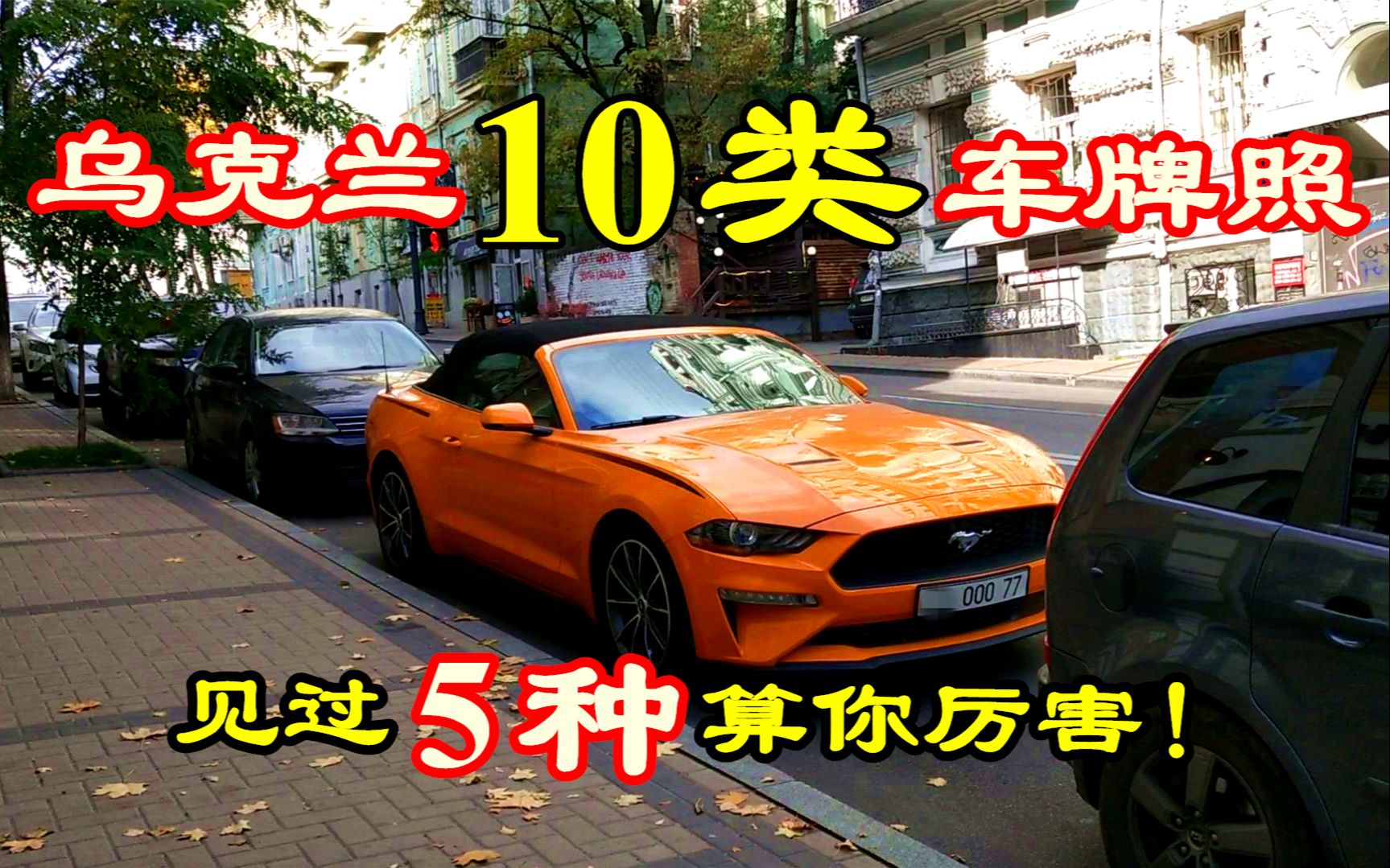 盘点乌克兰10种类型车牌照,五颜六色,千奇百怪,见过5种算你狠!