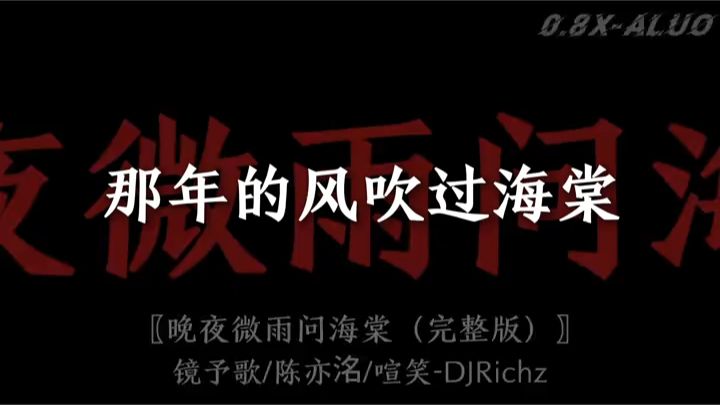 【搬运】晚夜微雨问海棠DJ完整版