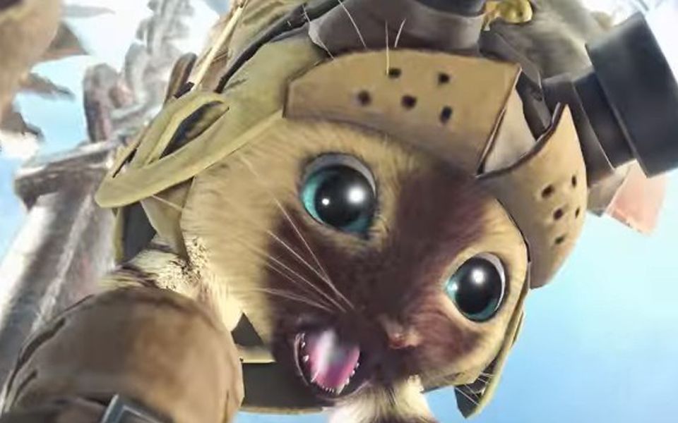 可爱又勤劳的艾露猫【怪物猎人生态】_哔哩哔哩_bilibili