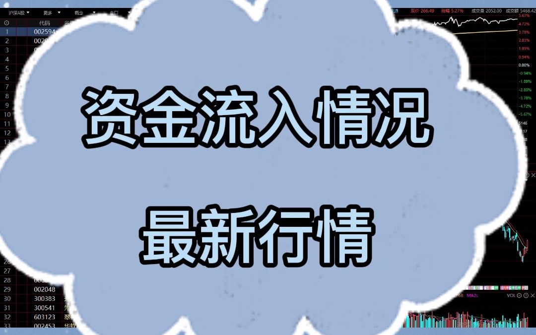 资金流入情况——最新行情哔哩哔哩bilibili