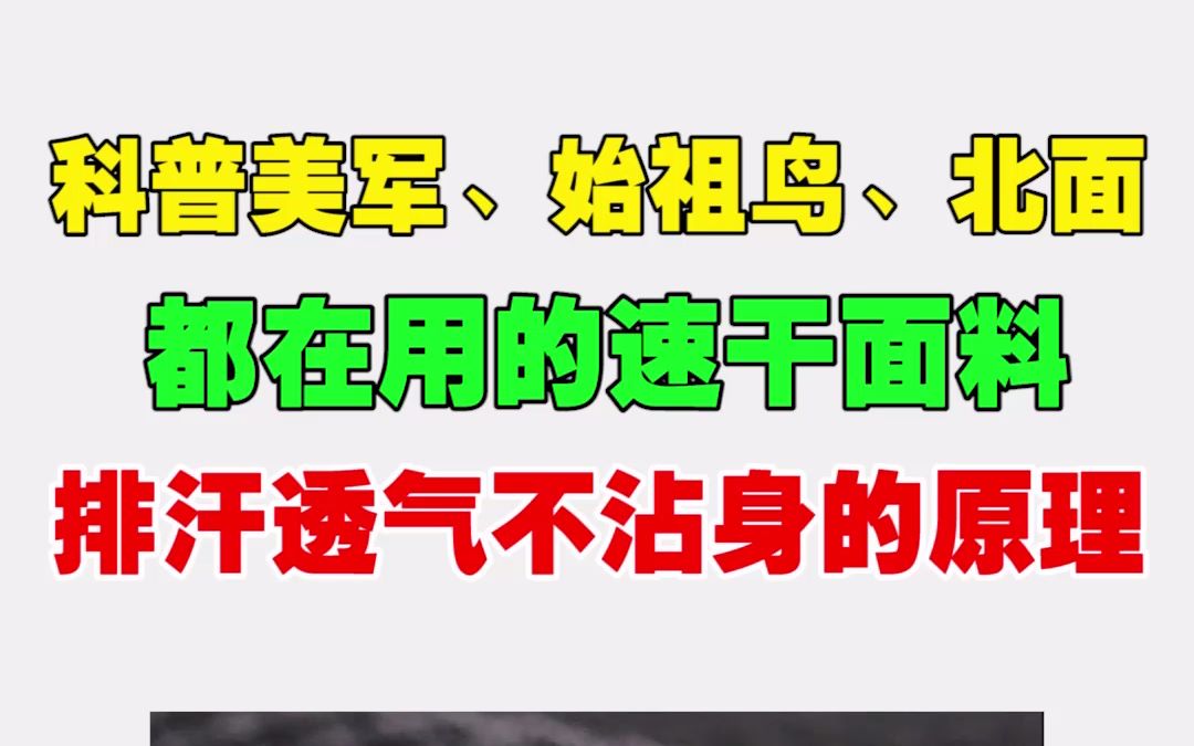 科普美军、始祖鸟、北面都在用的速干面料排汗透气不沾身的原理哔哩哔哩bilibili