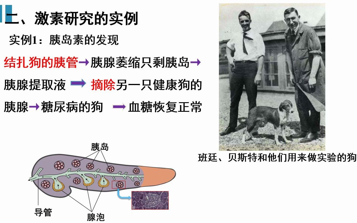 第三章 体液调节 基础梳理 重点串讲哔哩哔哩bilibili