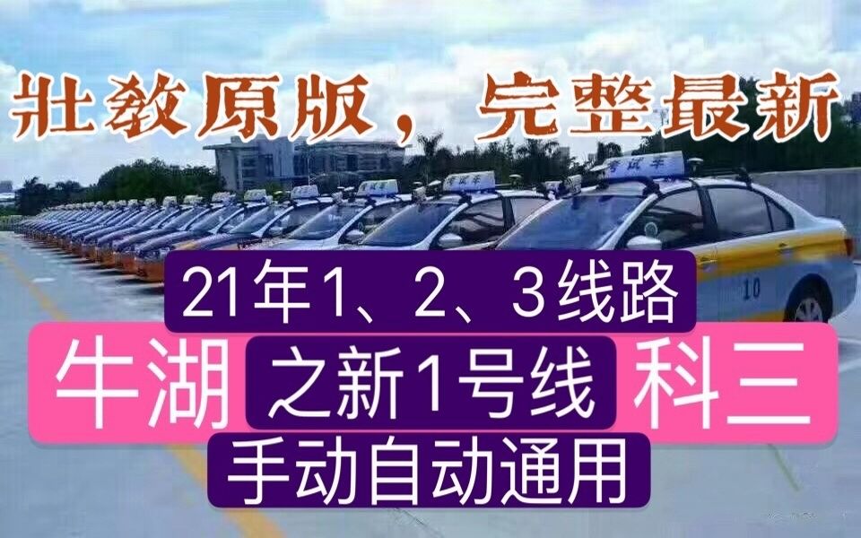 牛湖科目三1号线(2021壮哥讲座逢考必过)深圳龙华牛湖考场哔哩哔哩bilibili