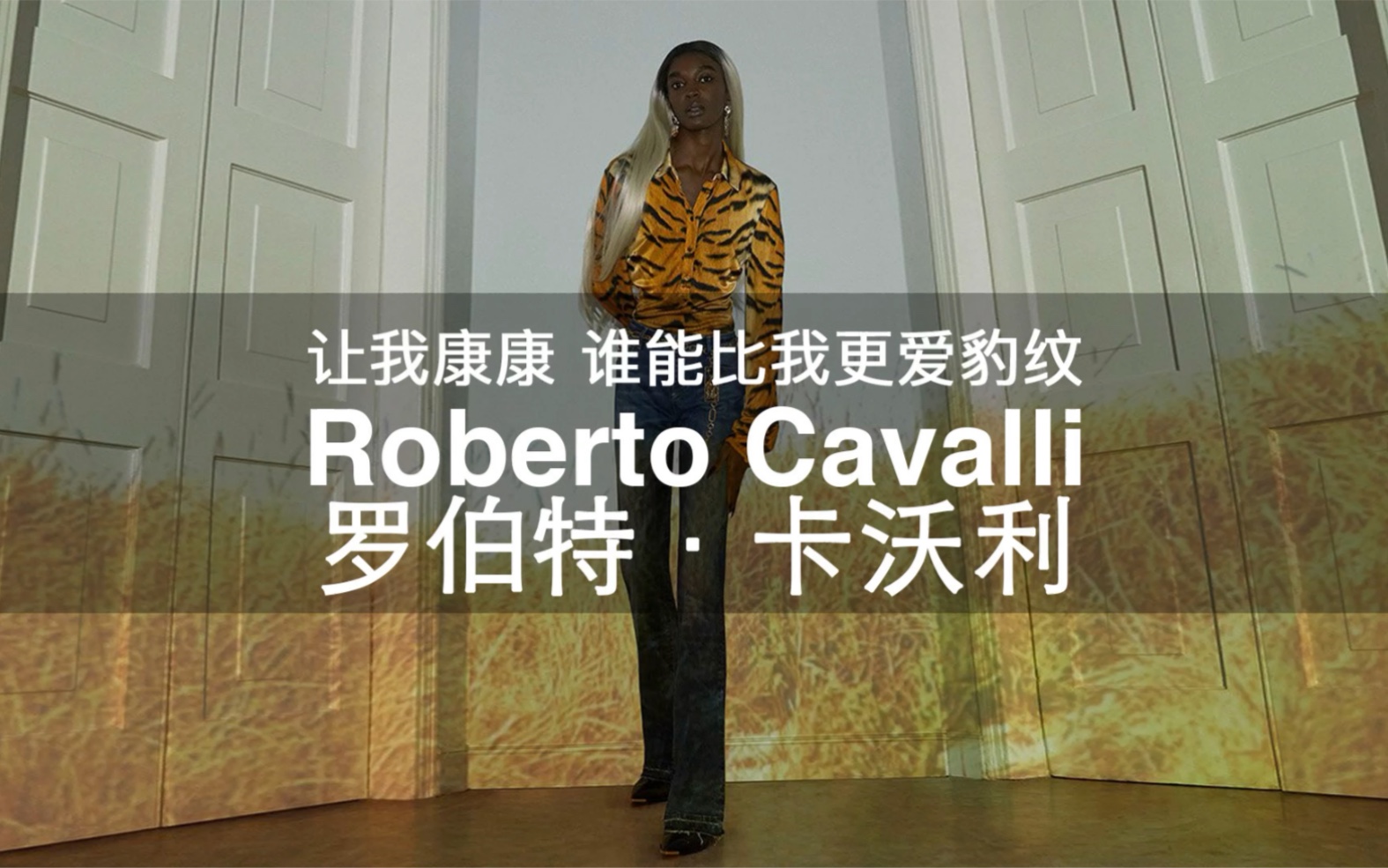 108个大牌科普 | 第47期 让我康康 谁能比我更爱豹纹 Roberto Cavalli 罗伯特ⷥᦲƒ利哔哩哔哩bilibili