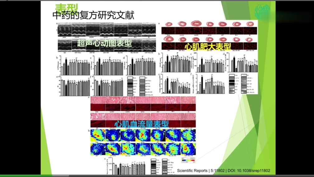 [图]实验万事屋【网络药理学】(共15讲) 24老师精讲完整版