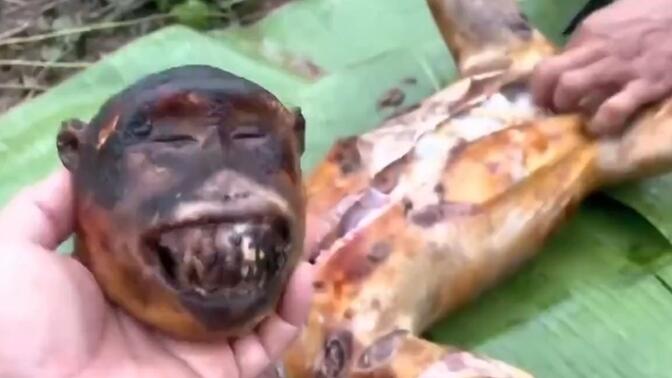非洲特色美食烤猴子,印度人为啥看不得