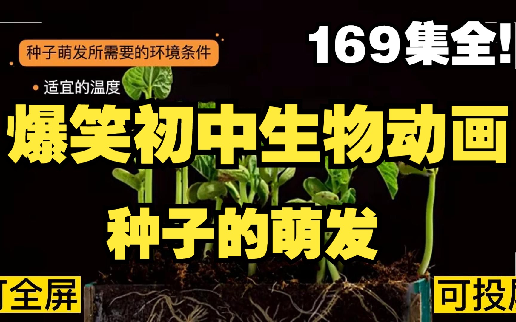 [图]169集全可分享 爆笑初中生物动画 种子的萌发 孩子一看就明白