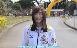 虎ban 搜索结果 哔哩哔哩 Bilibili