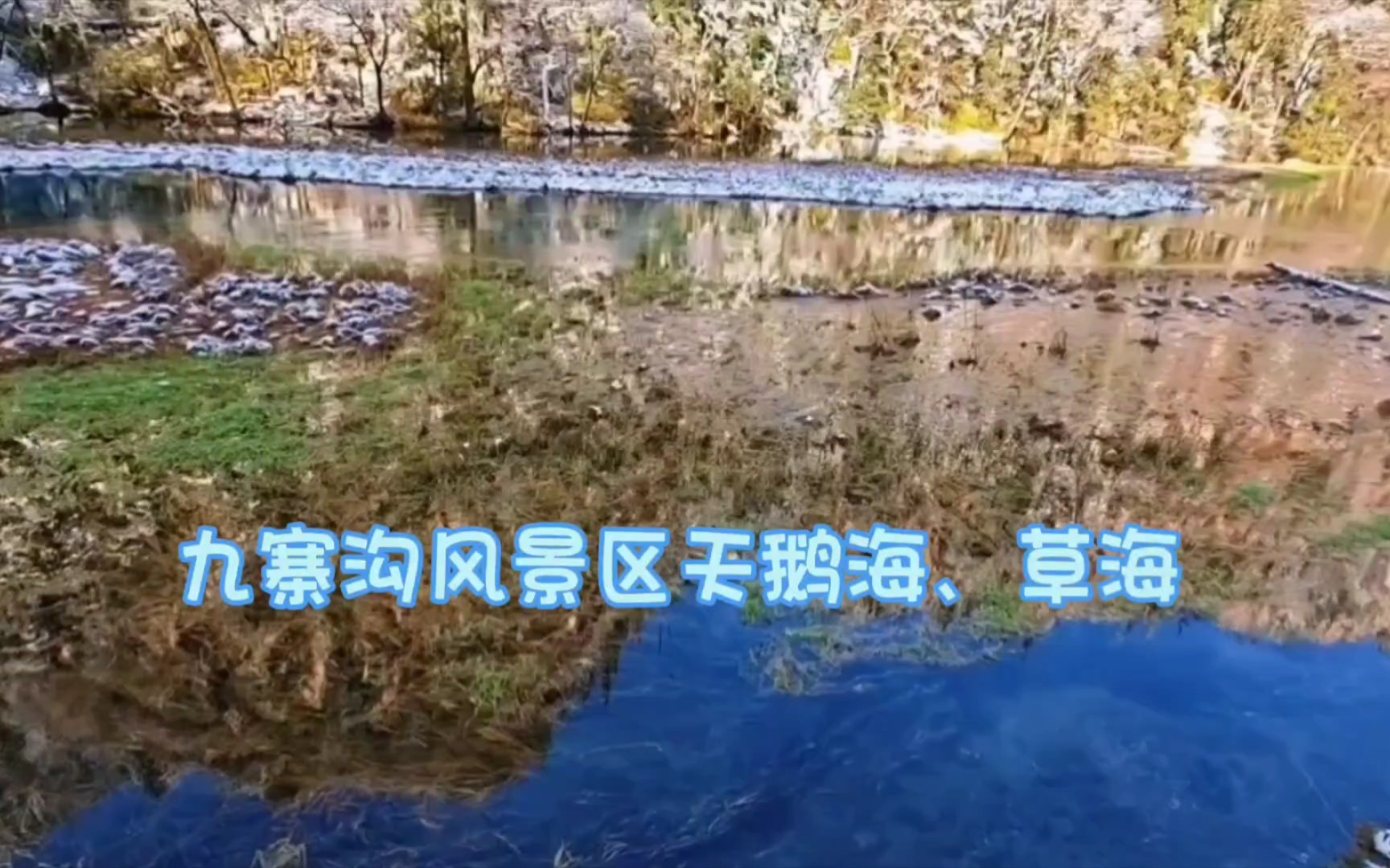 九寨沟风景区天鹅海,草海