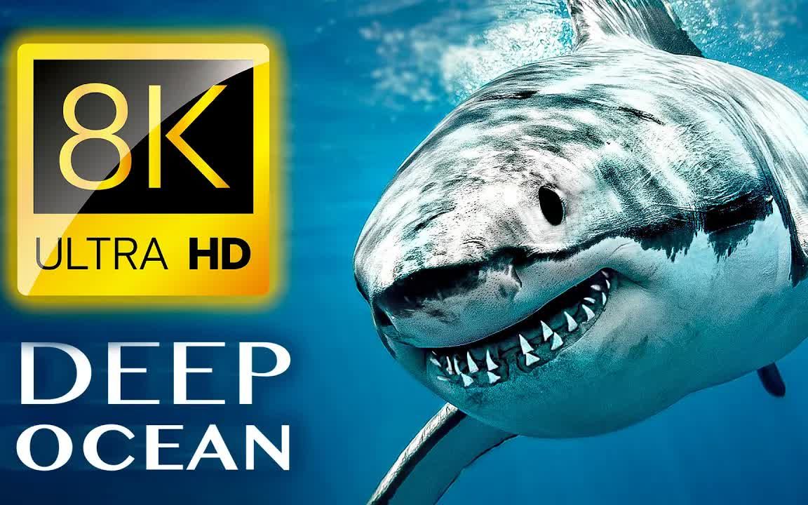 深海 | 8K 电视超高清 / 完整纪录片