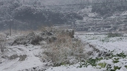 “我问青山何时老,青山问我几时闲.我见众山皆草木,唯有见你是青山.青山已随晚风去,我与沧海话桑田.朝阳落幕霞光胜,云海浅薄秋雨残.哔哩哔...