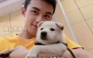 Video herunterladen: 729_吴磊对狗狗也是极尽温柔，他的狗子小北狗生太幸福了#吴磊收养的流浪狗长大了#长歌行