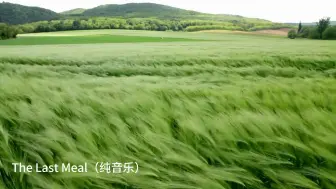 下载视频: 【背景音乐】The Last Meal（纯音乐，舒缓治愈）