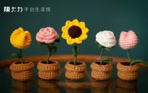 Download Video: 【陈大力】【盆栽花朵】手工编织教程玫瑰花部分