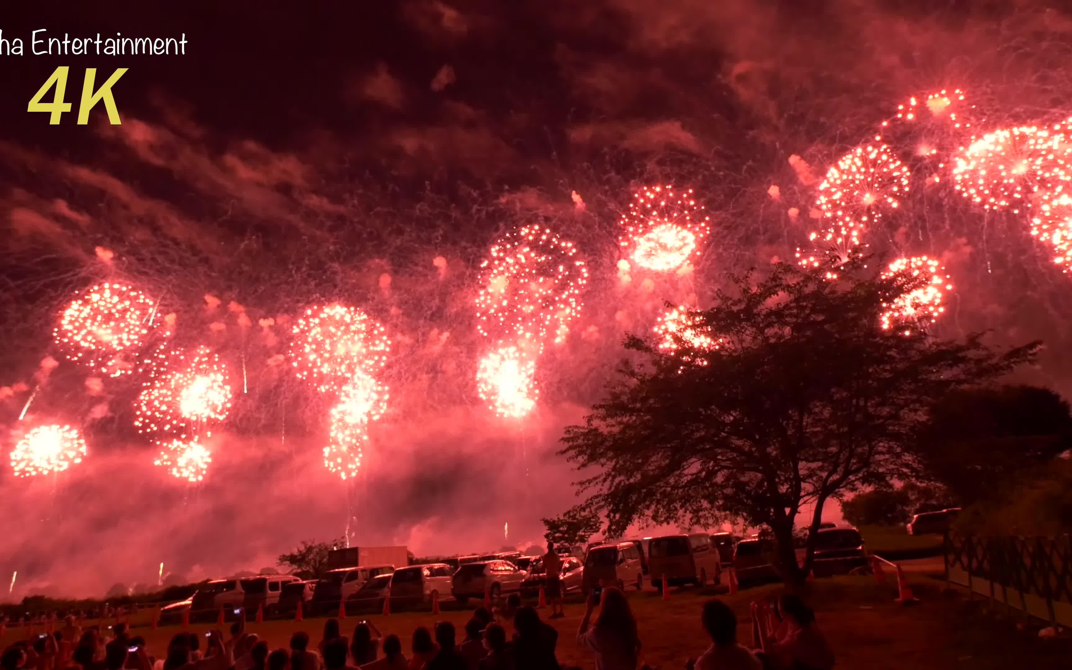 [图][4K画质] 2014 世上最美の长冈花火大会★祈愿·凤凰重生 幕★