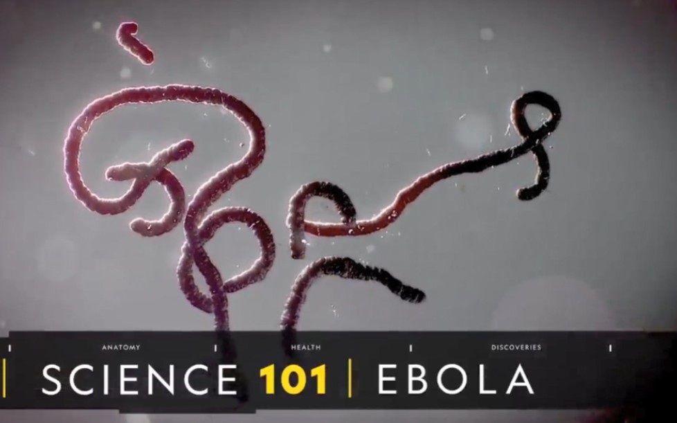 【英文科普】Ebola埃博拉病毒 | 国家地理 | 中英字幕 | 无字幕|英语字幕哔哩哔哩bilibili