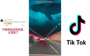 Скачать видео: TikTok上的中国公路引热议!外网：中国像是与地球分开的!？