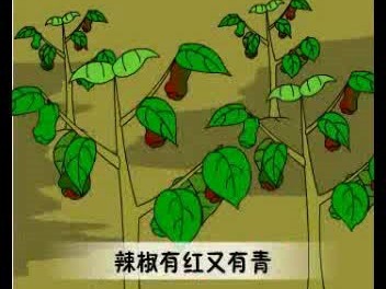 菜园里哔哩哔哩bilibili