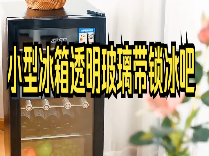 sast 先科bc-165冷藏保鲜小型冰箱透明玻璃带锁冰吧办公室家用酒店