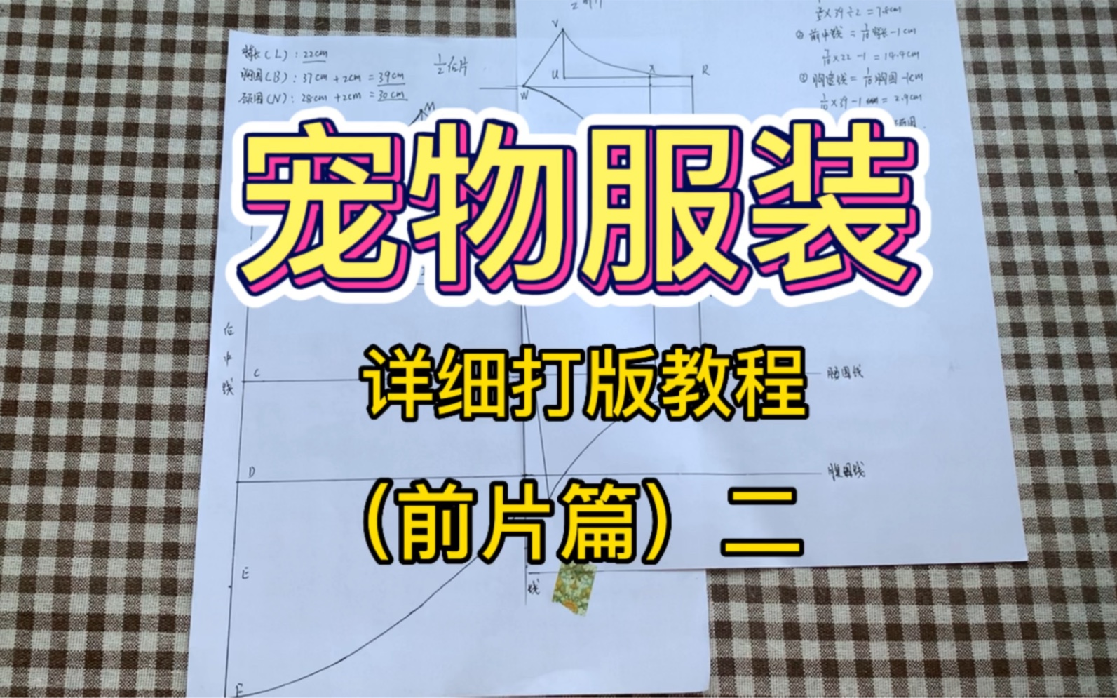 零基础宠物服装打版教程 小白也可以学会的原版宠物服装教程哔哩哔哩bilibili