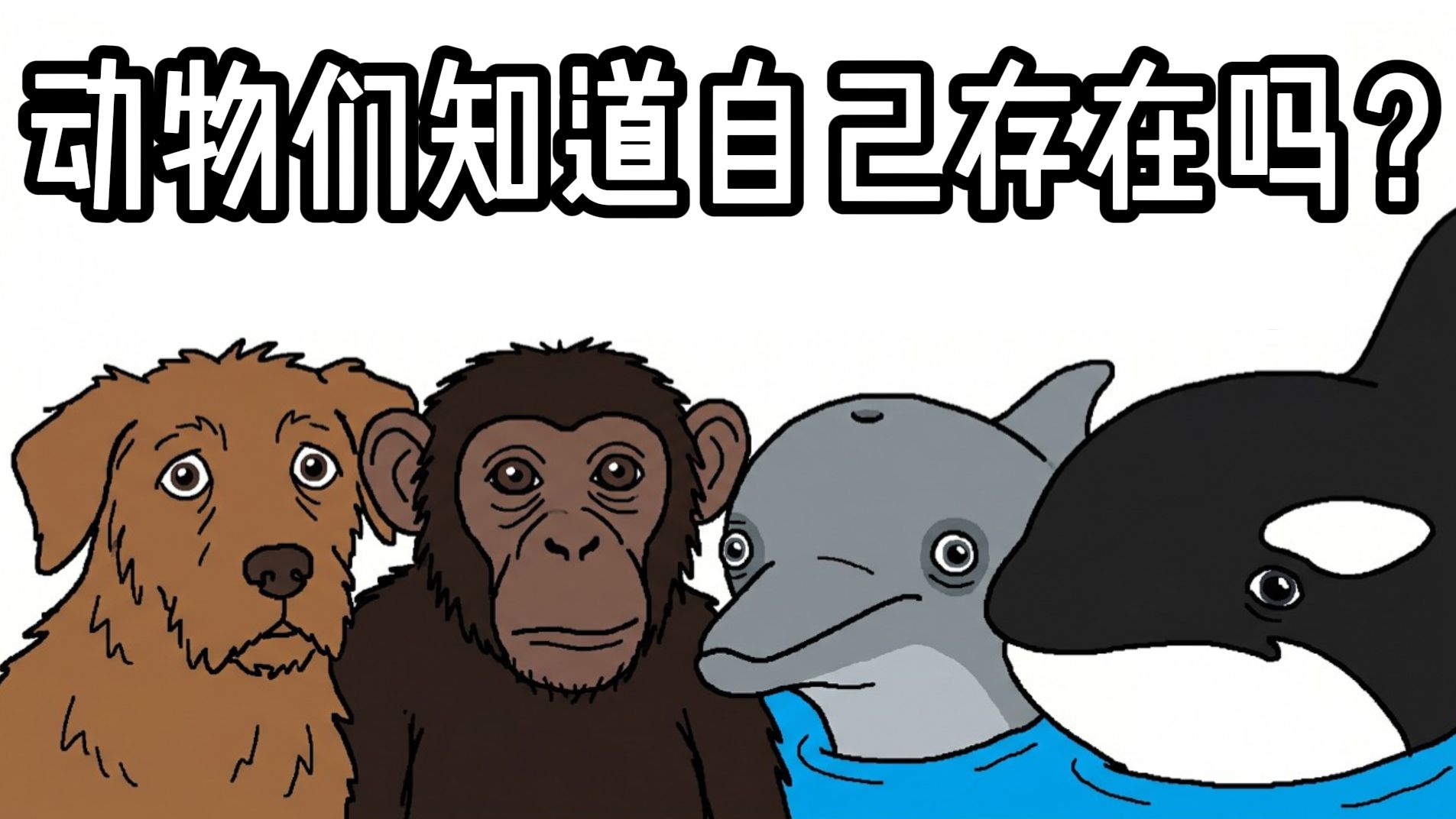 动物们知道自己存在吗？