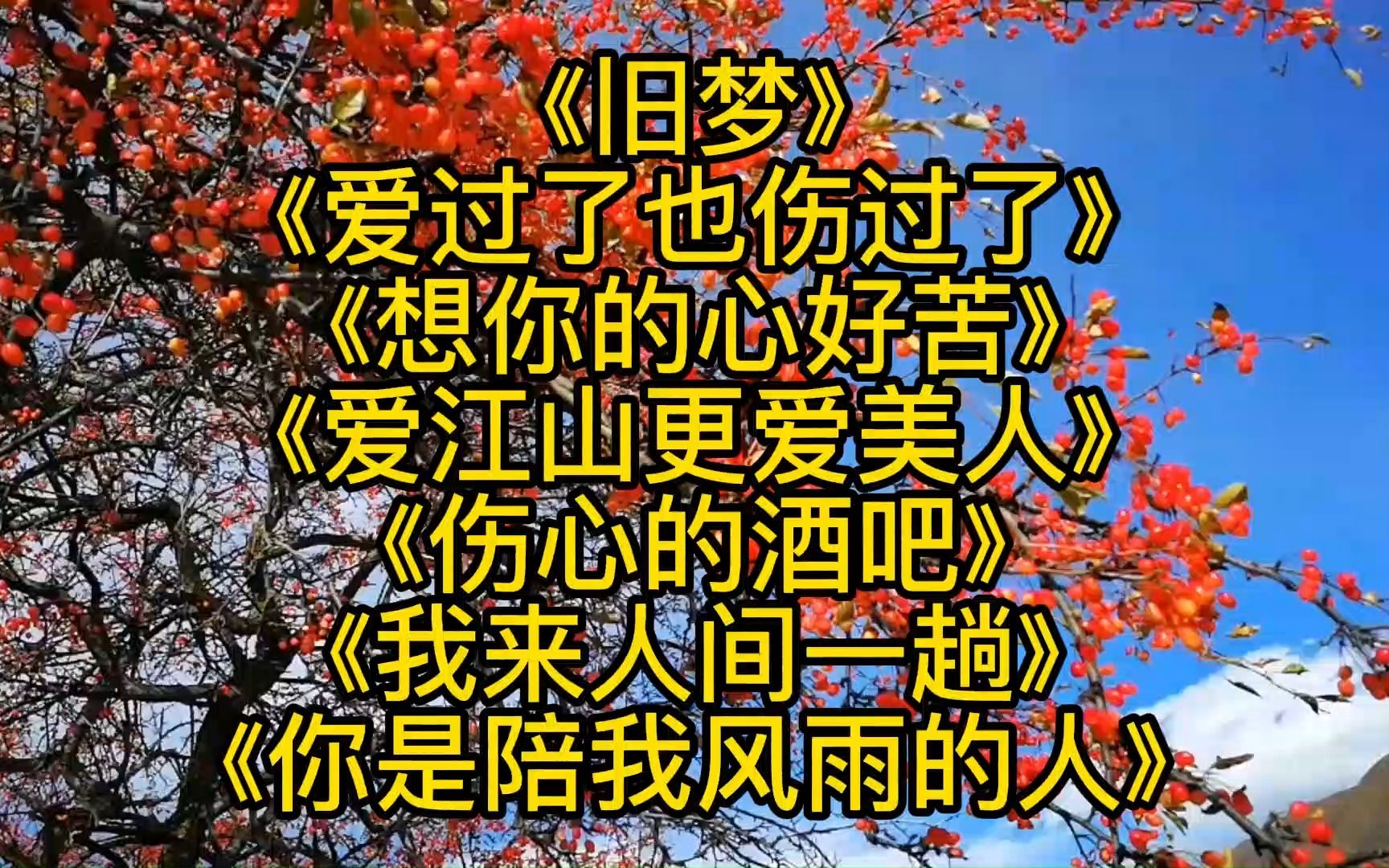 [图]《旧梦》《爱过了也伤过了》《想你的心好苦》《爱江山更爱美人》《伤心的酒吧》《我来人间一趟》《你是陪我风雨的人》