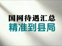 Descargar video: 国网待遇汇总·精准到县局