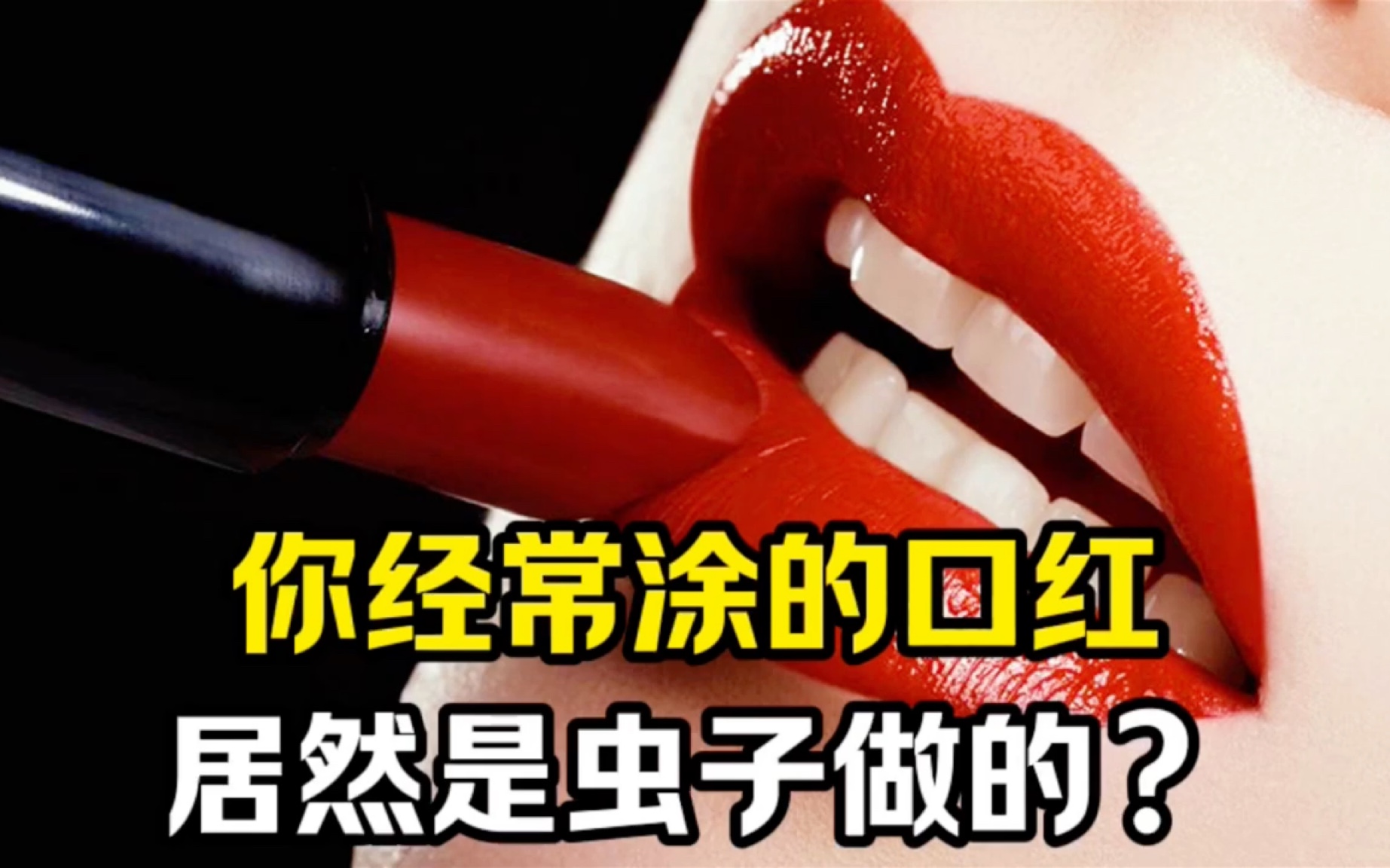 虫唇膏(冲出纳粹的专列国语)