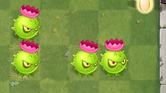 植物测评之导向蓟