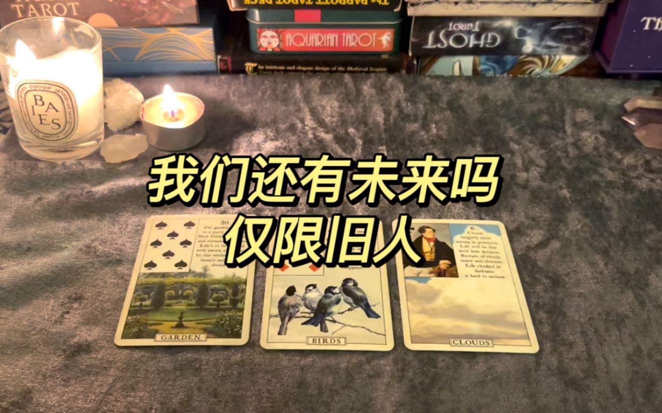 [图]【Trent_Tarot】我们还有未来吗 分手断联 前任卡狗｜后续发展