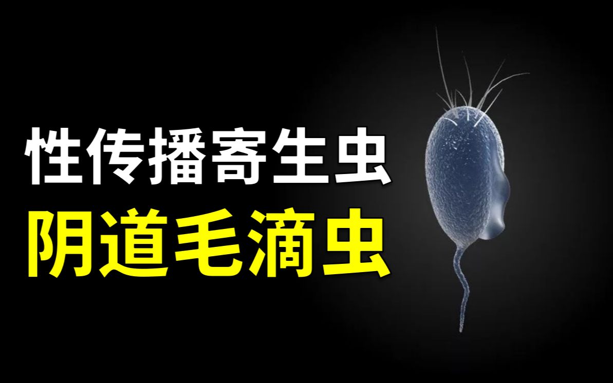 生殖器内有虫?什么情况会惹虫上身?【寄生虫10】哔哩哔哩bilibili