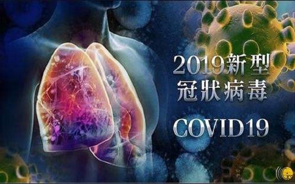 活动作品新冠病毒的起源一病毒跨界