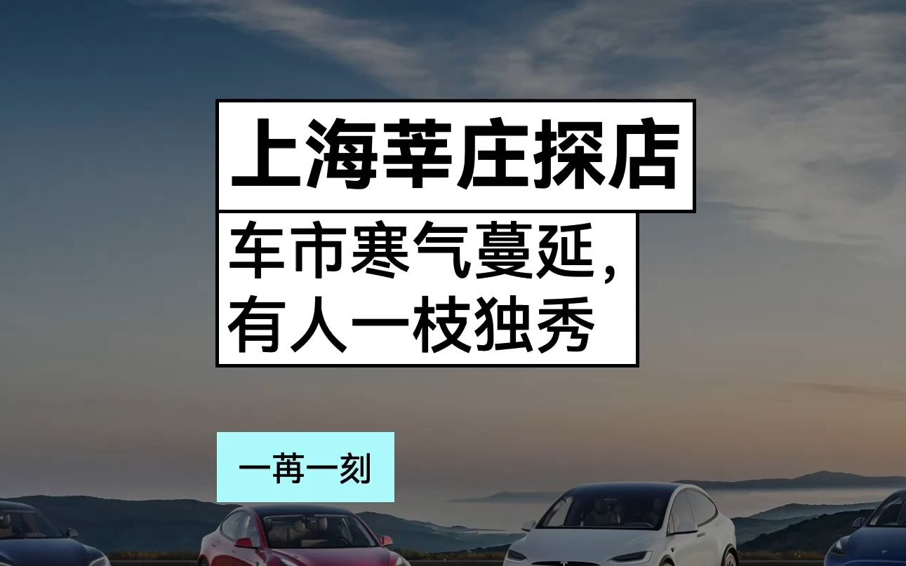 上海莘庄探店:车市寒气蔓延,有人一枝独秀 | 一苒一刻哔哩哔哩bilibili