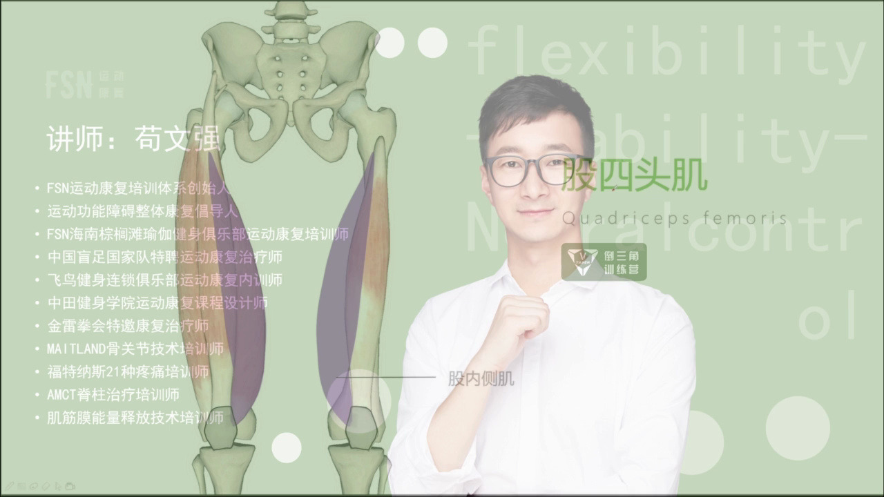 31肌肉解剖之股四头肌