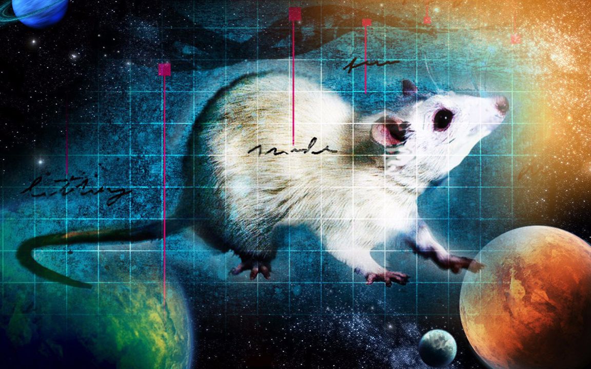 俄罗斯太空实验动物死亡过半,科学家却对此大加赞赏哔哩哔哩bilibili