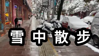 Download Video: 周队长生活：1月22日雪中散步吃个午饭