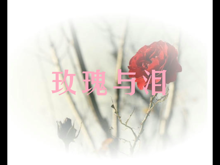 二胡/【玫瑰与泪】哔哩哔哩bilibili