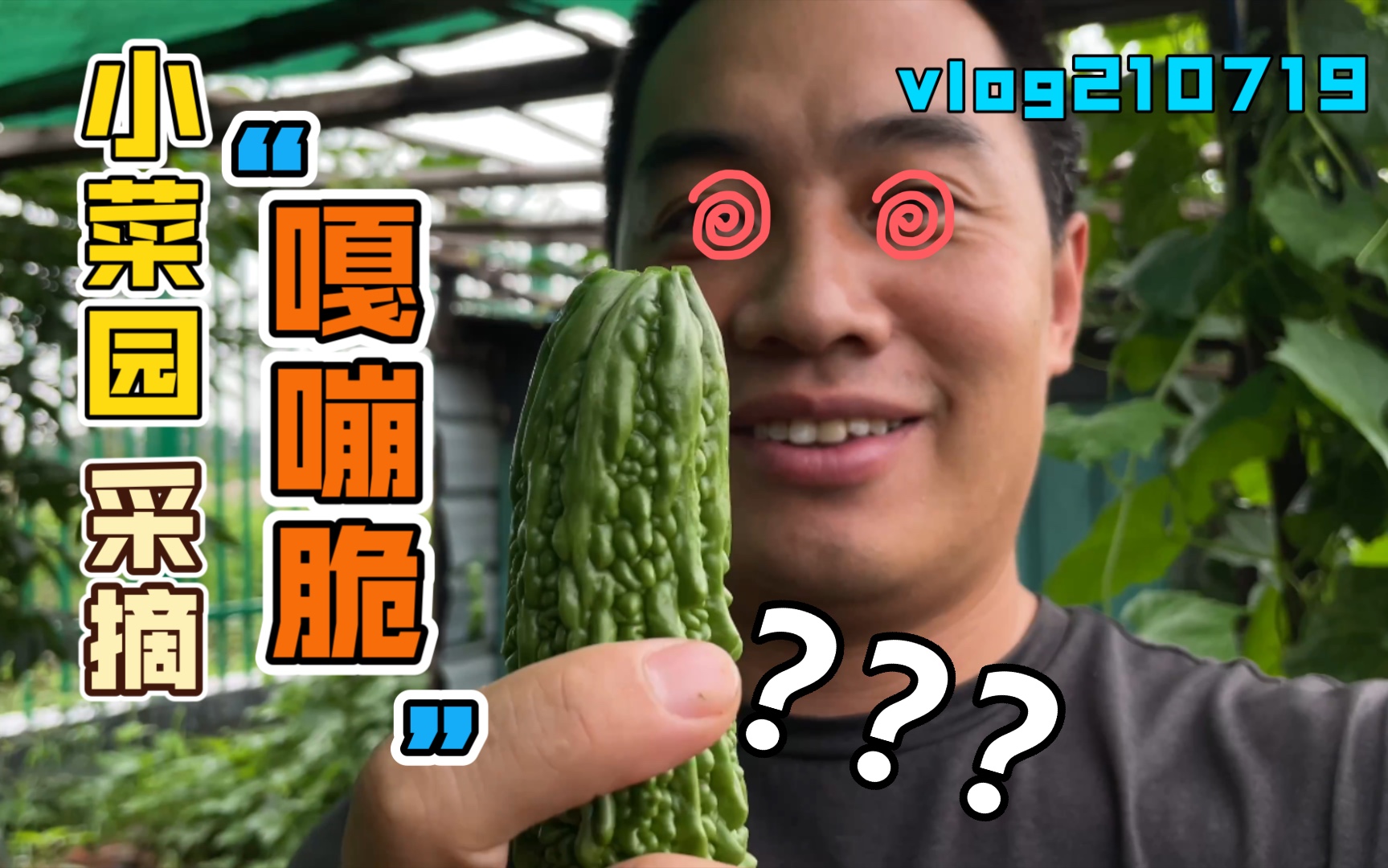 【vlog系列】采摘蔬菜嘎嘣脆,这东西是真的脆.哔哩哔哩bilibili