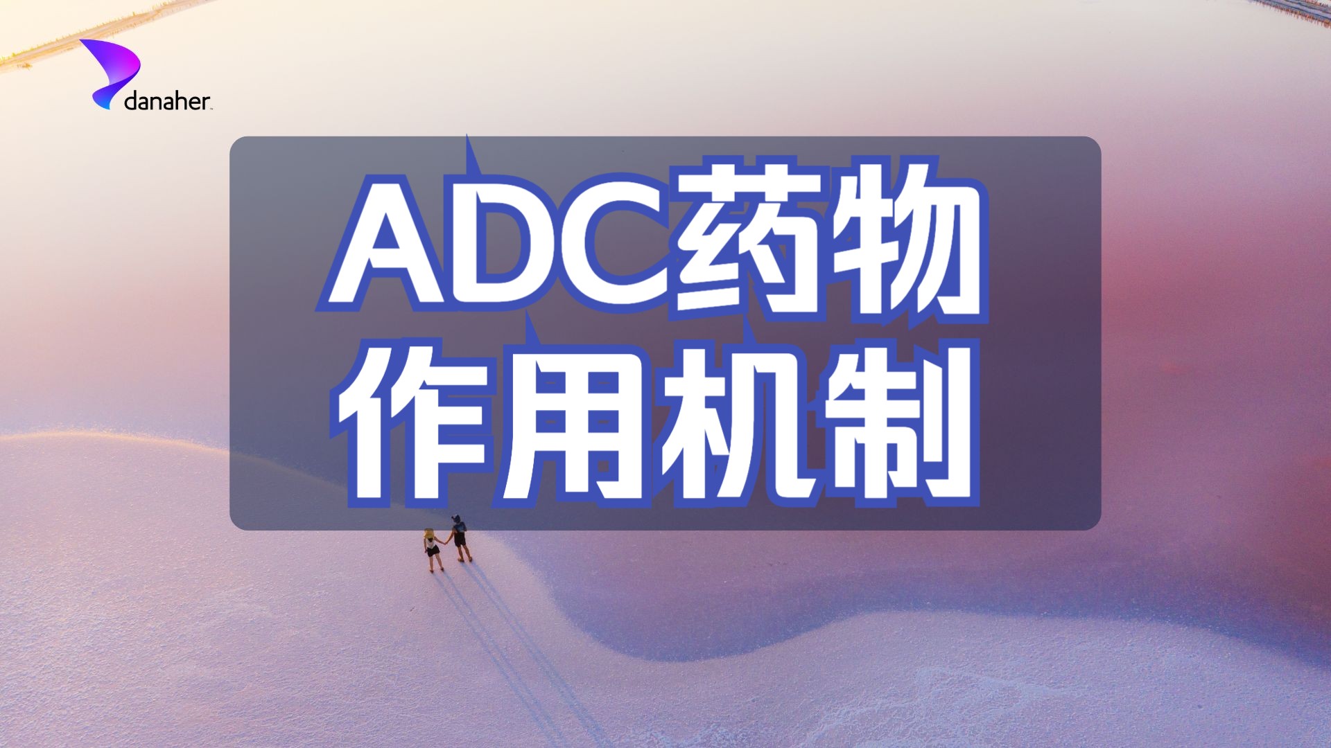 ADC药物的作用机制哔哩哔哩bilibili