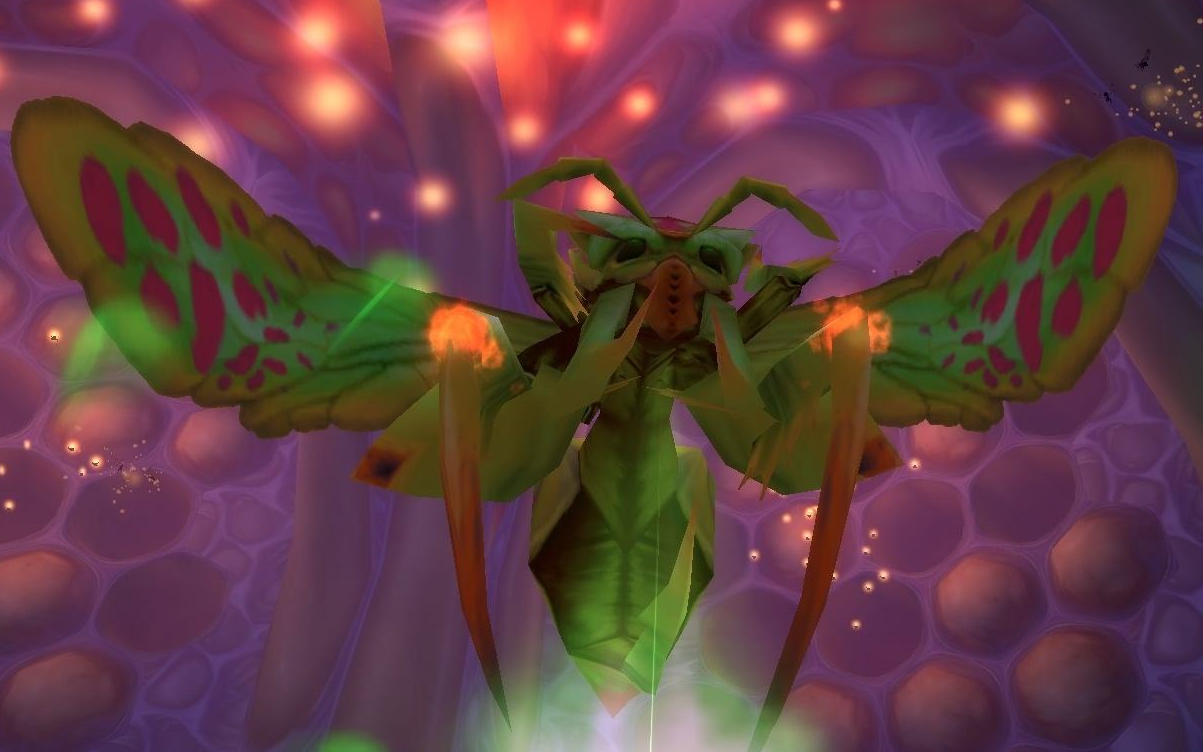 安琪拉神殿 taq 哈霍兰公主 魔兽世界 怀旧服 lights hope 联盟