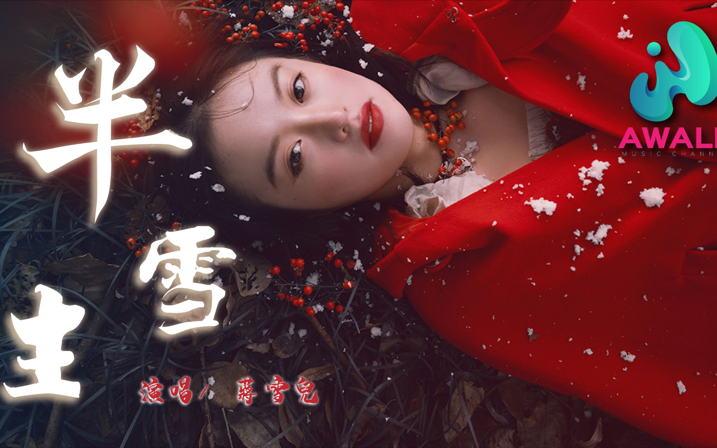 蒋雪儿半生雪动态歌词pinyinlyrics