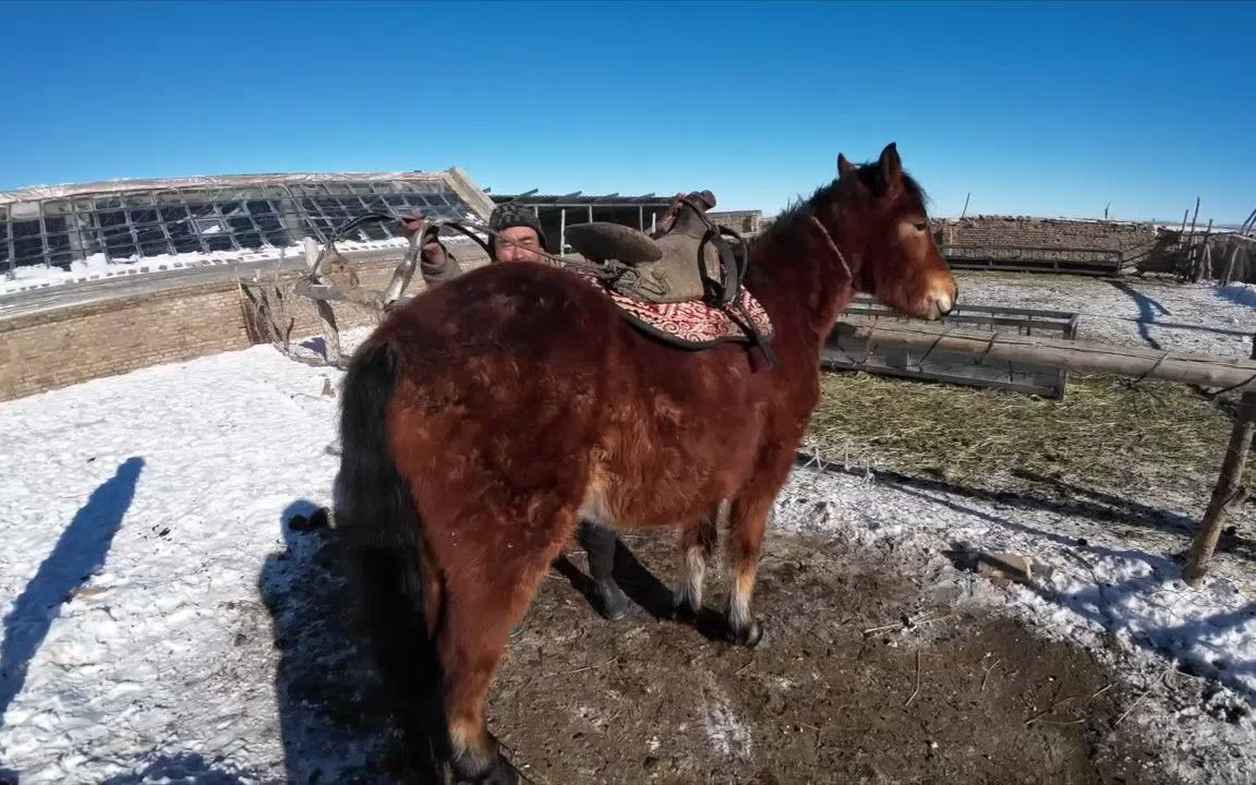 【天山的秘密马背旅行secret horseback】24哈萨克传统马鞍