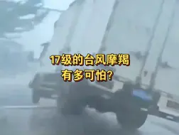 Tải video: 17级的台风摩羯，到底有多大？一个视频告诉你