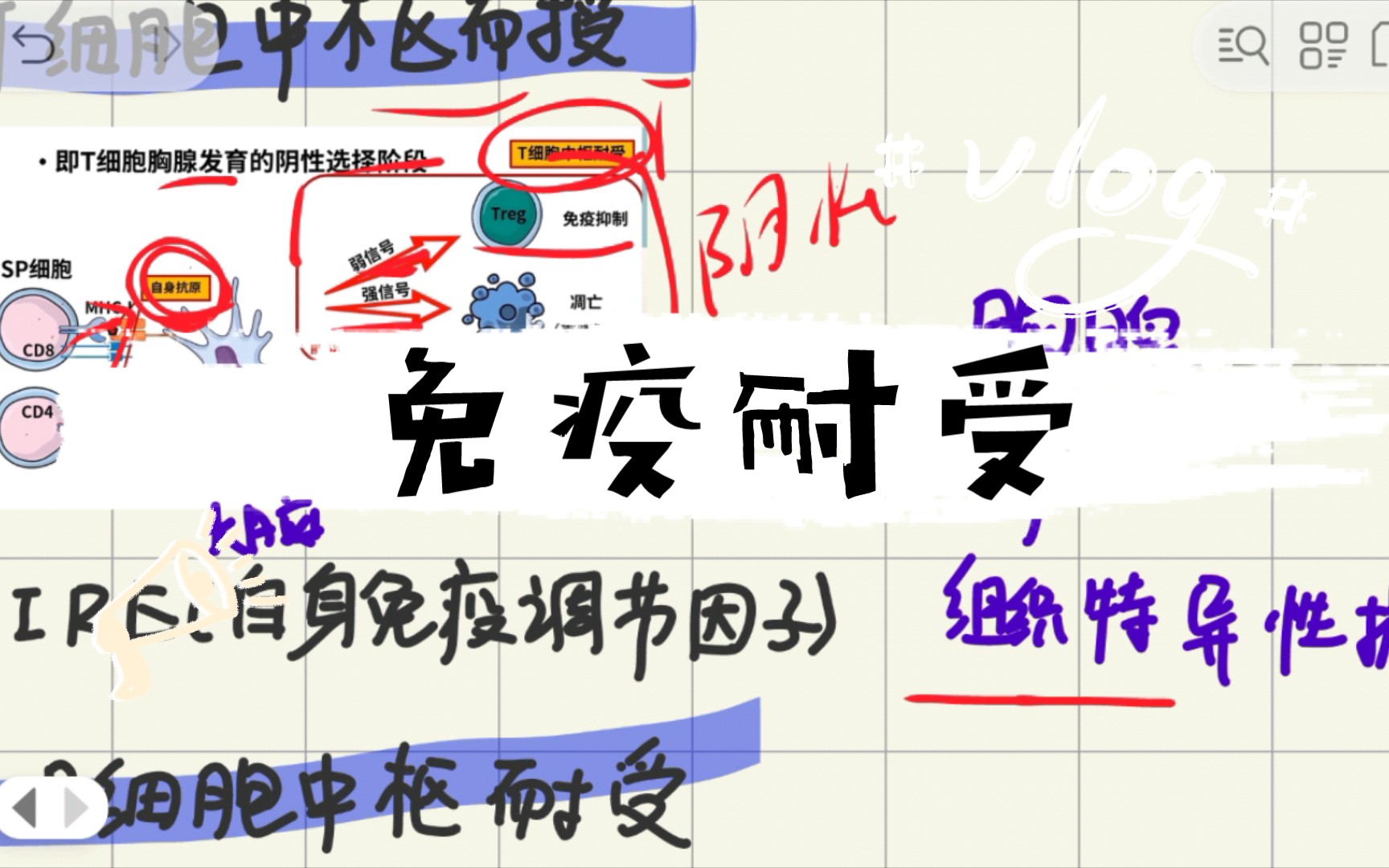 医学免疫学第16章免疫耐受哔哩哔哩bilibili