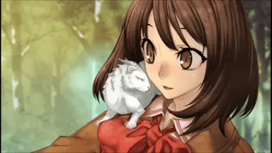 二世の契り (限定版:忍絵巻 (設定原画集) 、ドラマCD「予兆の章」同梱 ) - PSP 71VvFW7kiIL._UF350,350_QL50_.jpg