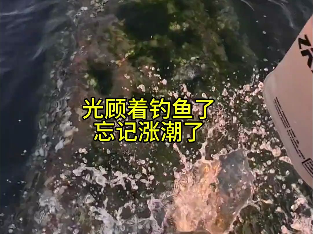 威海路亚钓鱼大逃亡! 虚惊一场,有惊无险!