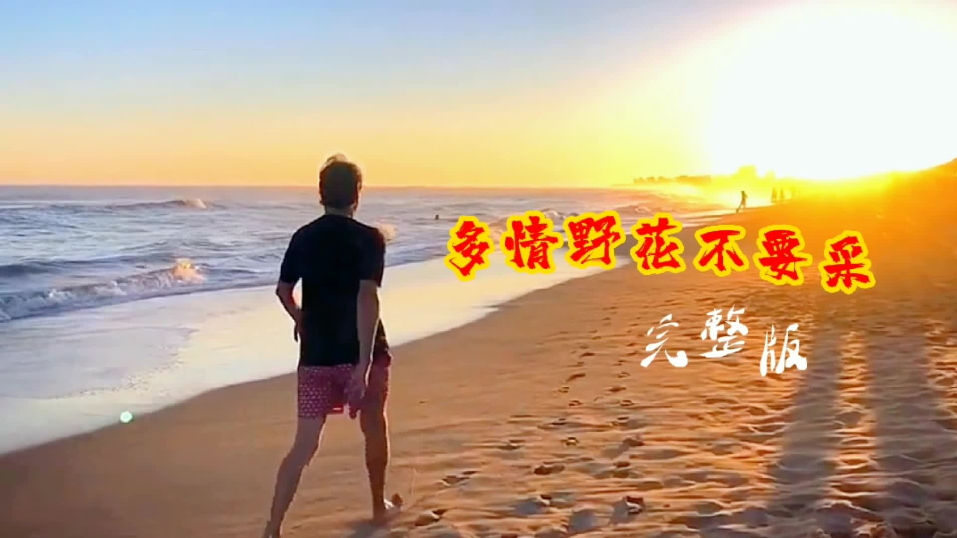 [图]《多情的野花不要采》曲好、词好、唱的也好