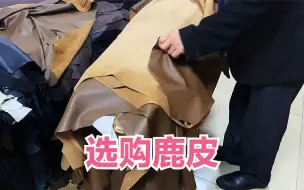 下载视频: 又来原皮市场买鹿皮，给粉丝定做一件过膝加长版皮貂外套