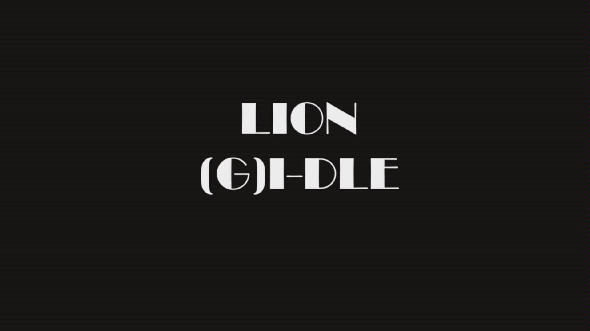 LION (G)IDLE 地下停车场翻跳哔哩哔哩bilibili